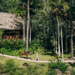 The Family Coppola Hideaways’ Blancaneaux Lodge Is The Ideal Remote Getaway