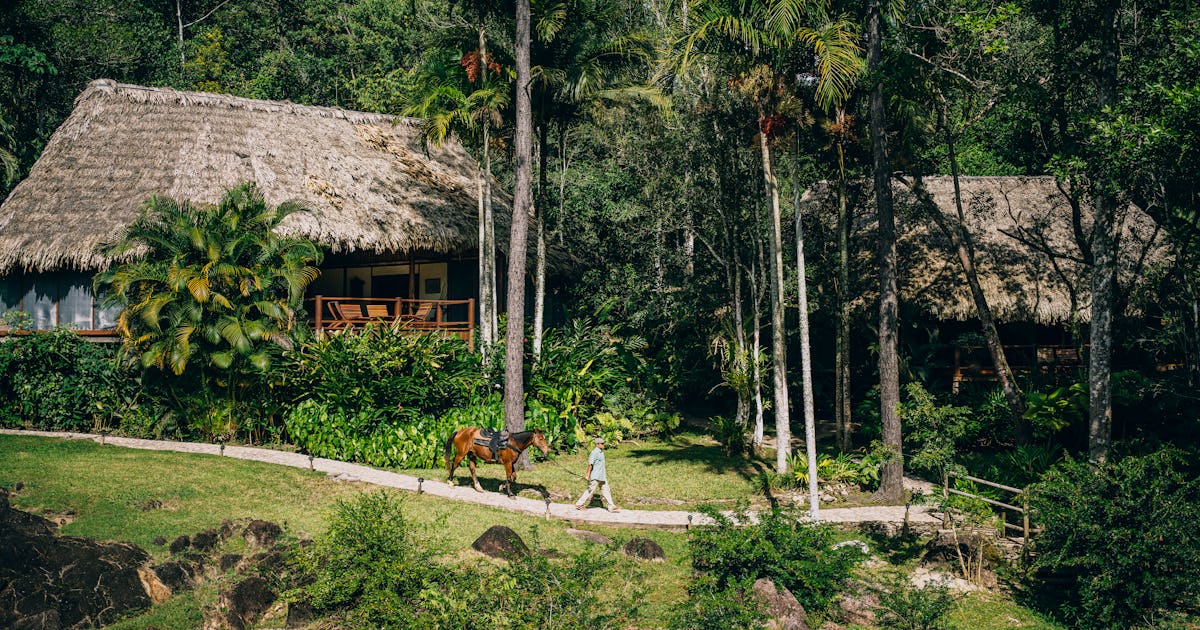 The Family Coppola Hideaways’ Blancaneaux Lodge Is The Ideal Remote Getaway