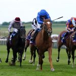 Desert Flower won the 1000 Guineas