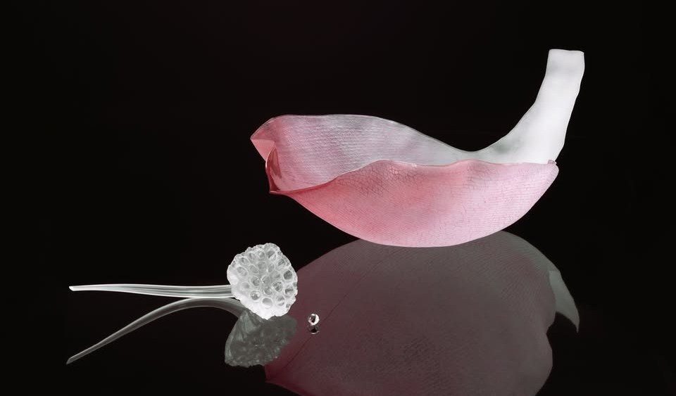 Akiko Noda’s Rare Kyoto Nature, Zen-Inpsired Glass Art