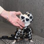 At the 2025 Pet Gala, Dogs Big and Small, Real and Toy, Posed for the Paw-parazzi