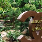 Chanel highlighted sandalwood at Jardins, Jardin in Paris this year.