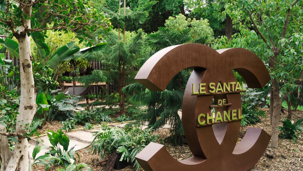 Chanel Highlights Sandalwood at Jardins, Jardin Event in Paris