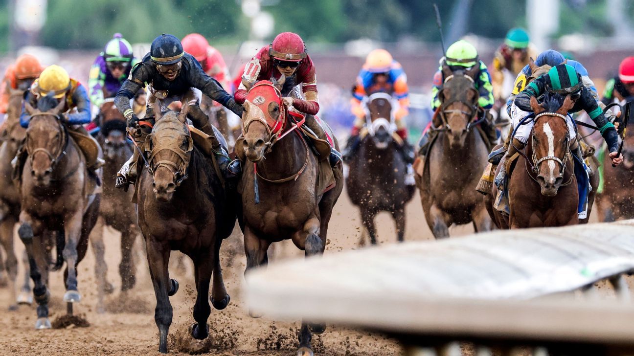 How one organization plans to improve horse racing safety
