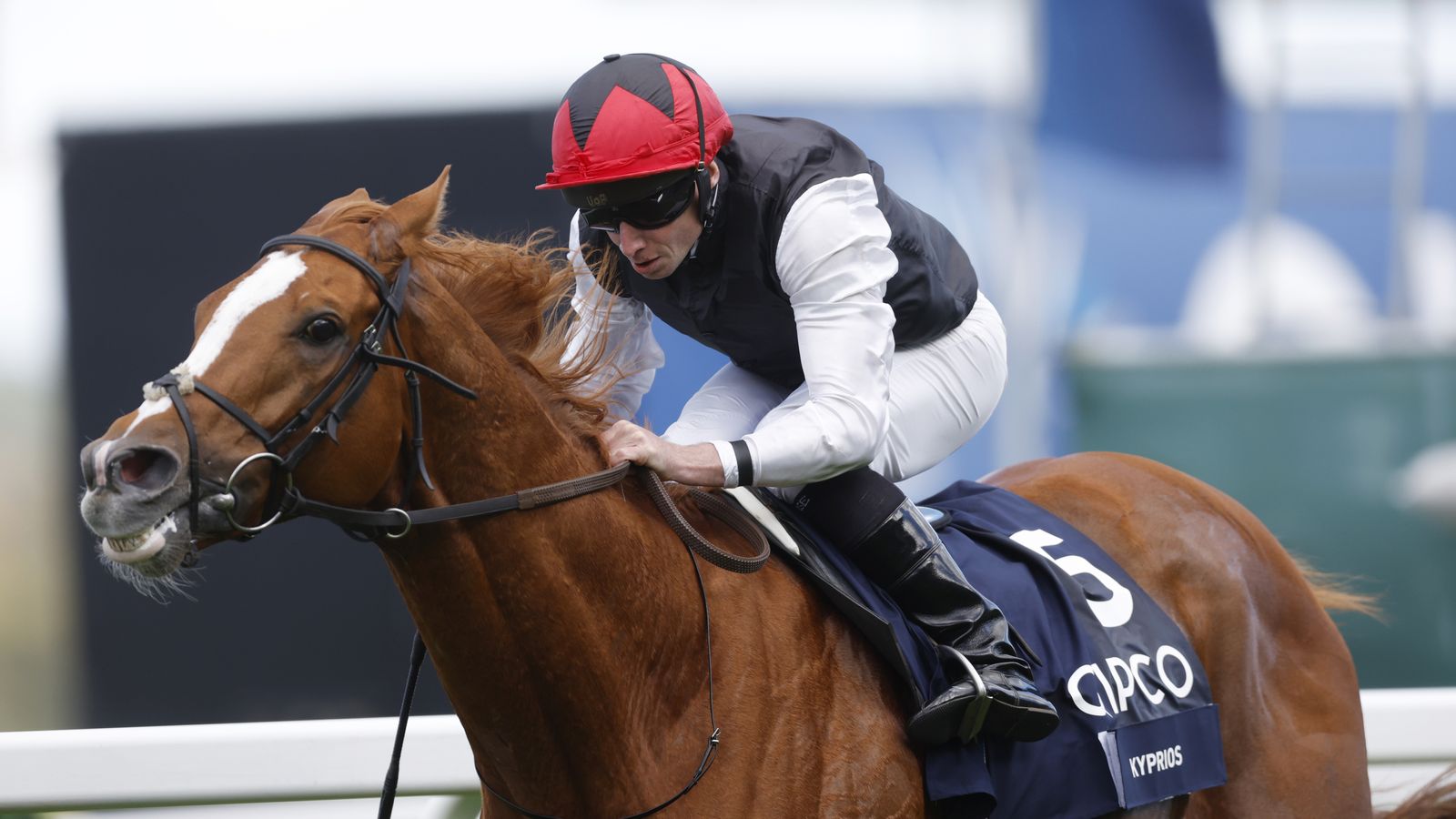 King Kyprios lands his seventh seasonal success