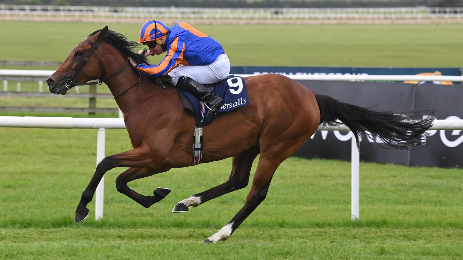 Lake Victoria blitzes the Irish 1,000 Guineas field with a special performance at the Curragh | Racing News