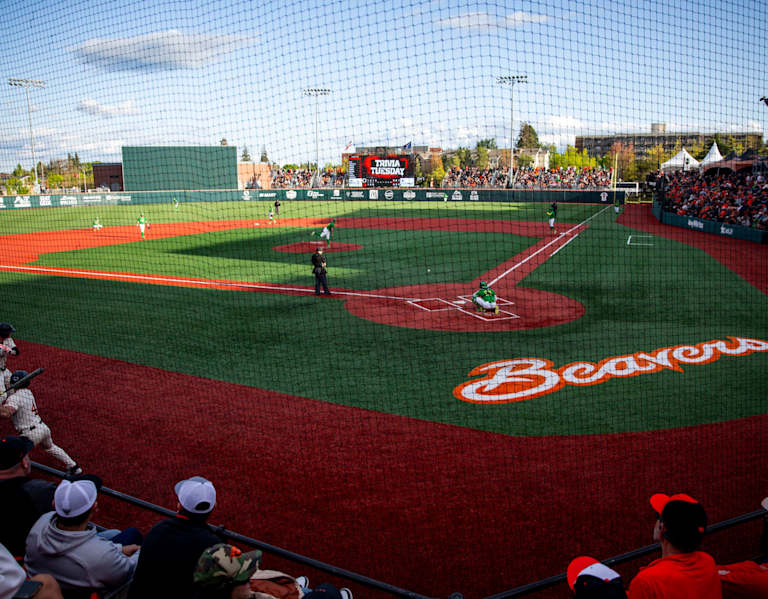Oregon State Baseball: Corvallis Regional Primer