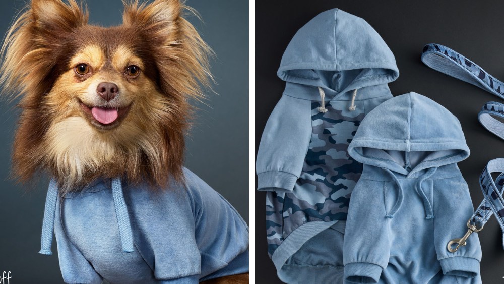 Pet Passion Debuts Eco-Friendly Dog Clothes Inspired by Babywear