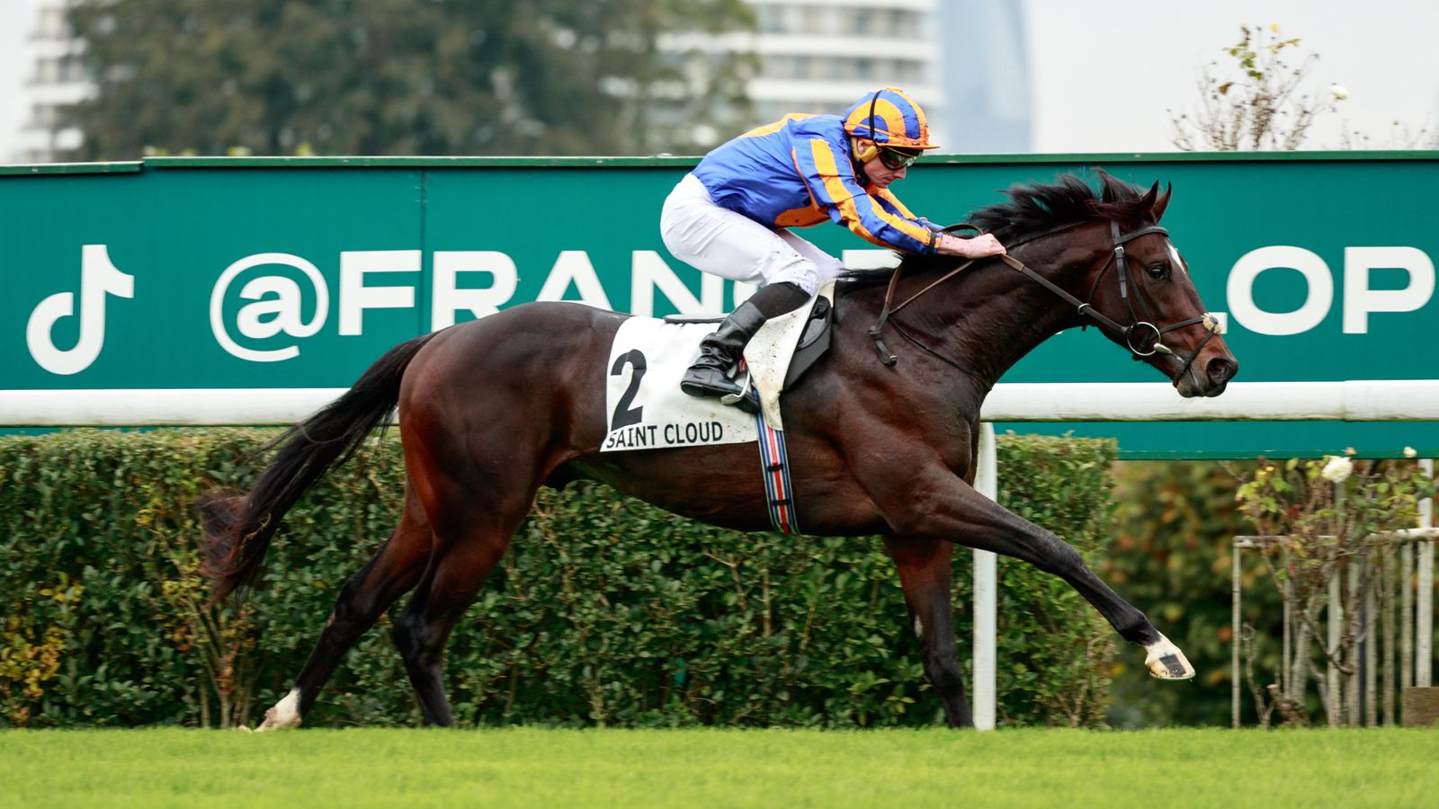 Royal Ascot: Twain unlikely to return in time as Aidan O’Brien rules Dreamy out for first half of season | Racing News