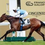 Aventure headlines the Prix Corrida. (Photo: Zuzanna Lupa)