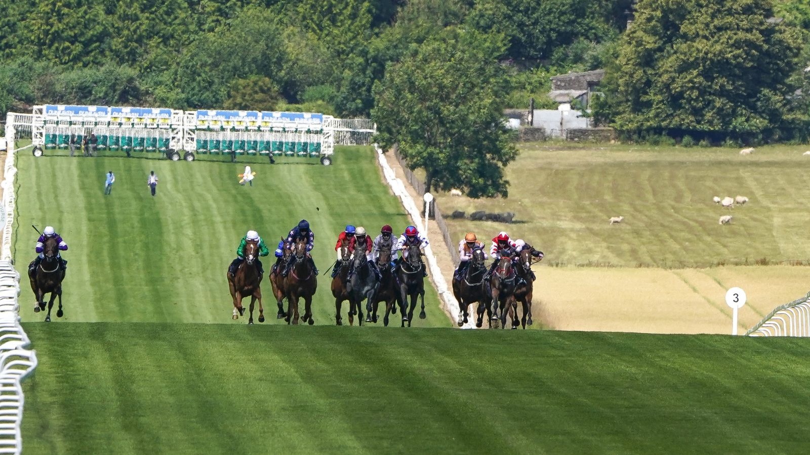 Today on Sky Sports Racing: Chepstow & Brighton in focus on Wednesday featuring exciting newcomers | Racing News