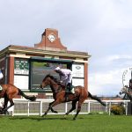 Ripon hosts domestic action