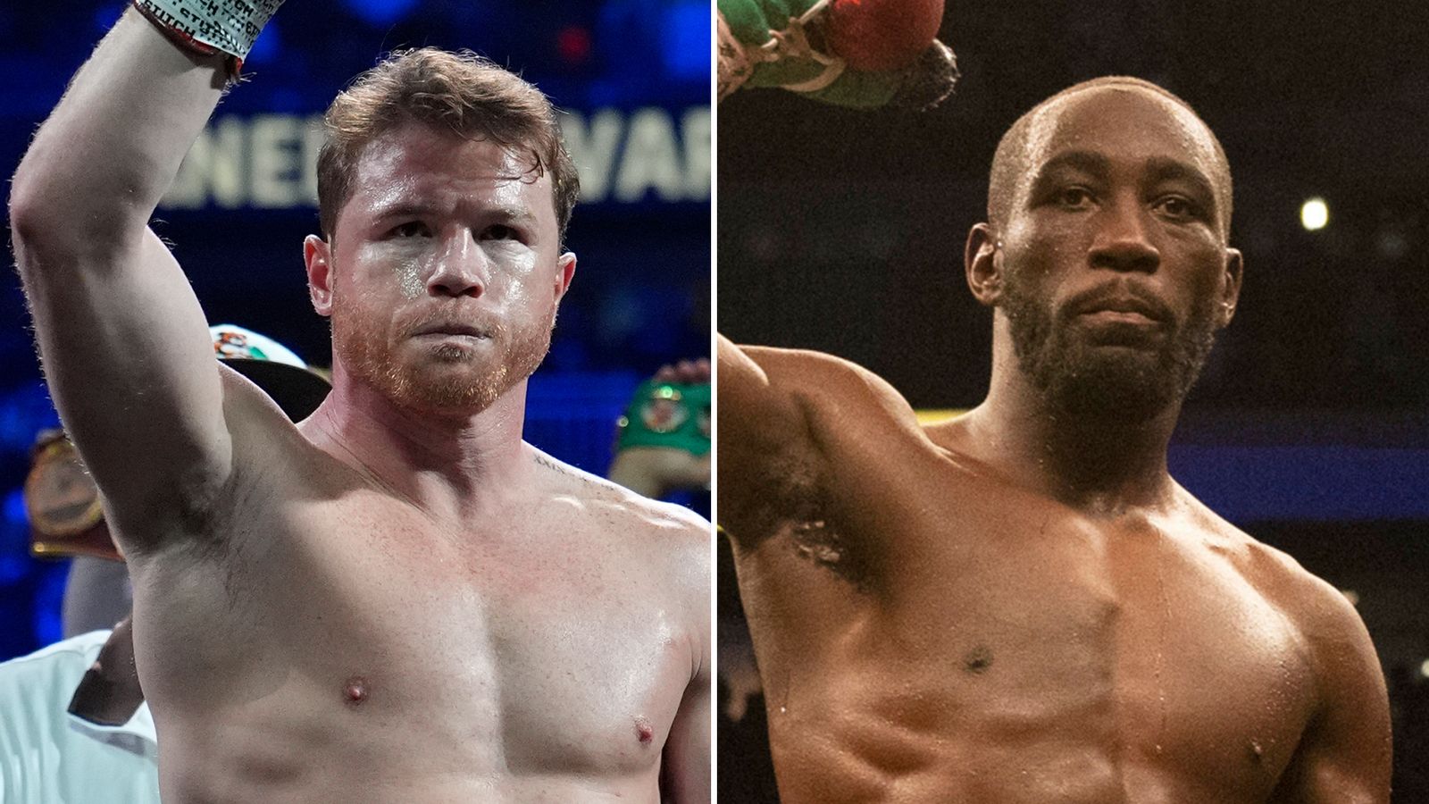 WBC wants Canelo Alvarez vs Terence Crawford super fight, says president Mauricio Sulaiman | Boxing News