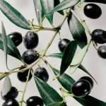 Why Black Olives Are the Perfect Perimenopause Snack