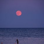 A Sign-By-Sign Guide to the Approaching Strawberry Full Moon