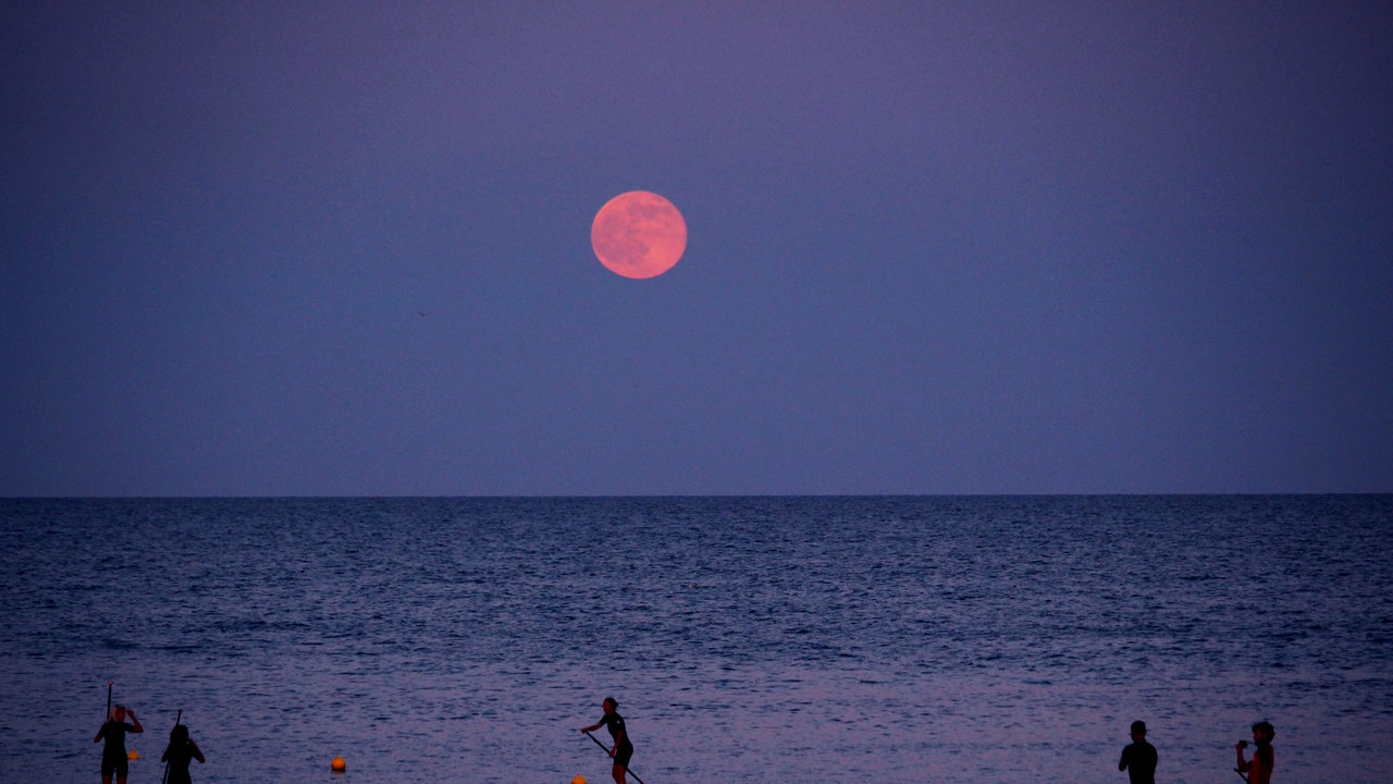 A Sign-By-Sign Guide to the Approaching Strawberry Full Moon