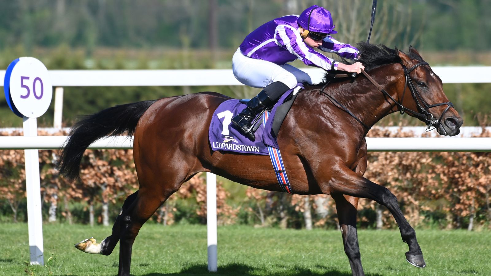 Aidan O’Brien discusses Derby plans with Delacroix in pole position to lead Ballydoyle team | Racing News