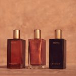 Brunel: A 'Mood-Elevating' Body Oil Brand Founded by Jasmine Tookes