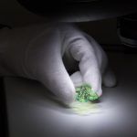 A quality check of a hand-crafted fluorescent button for Autista.