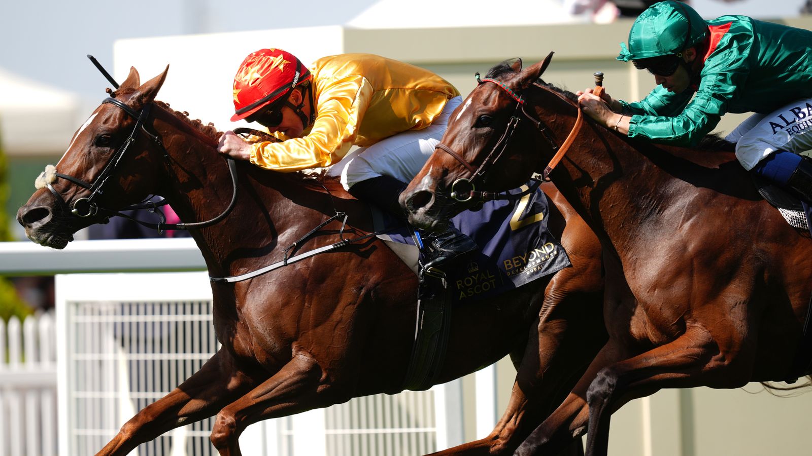 Royal Ascot: Cercene produces battling display to beat Zarigana in Coronation Stakes for Joseph Murphy | Racing News