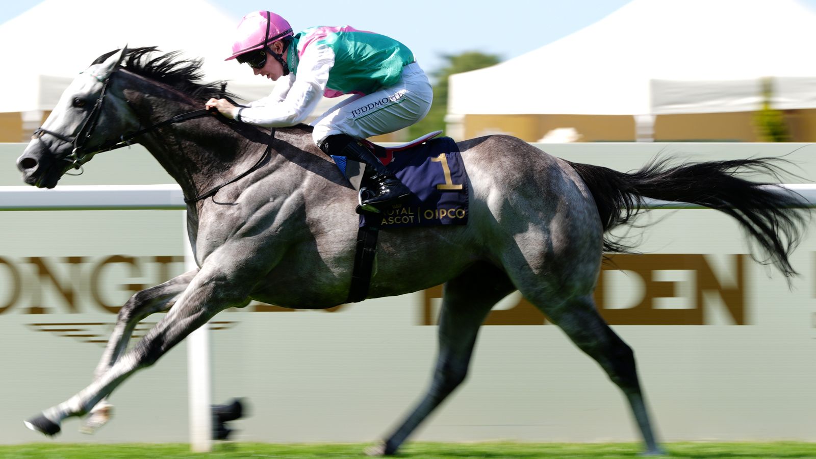 Royal Ascot: Field Of Gold routs rivals in St James’s Palace Stakes romp to echo father Kingman | Racing News