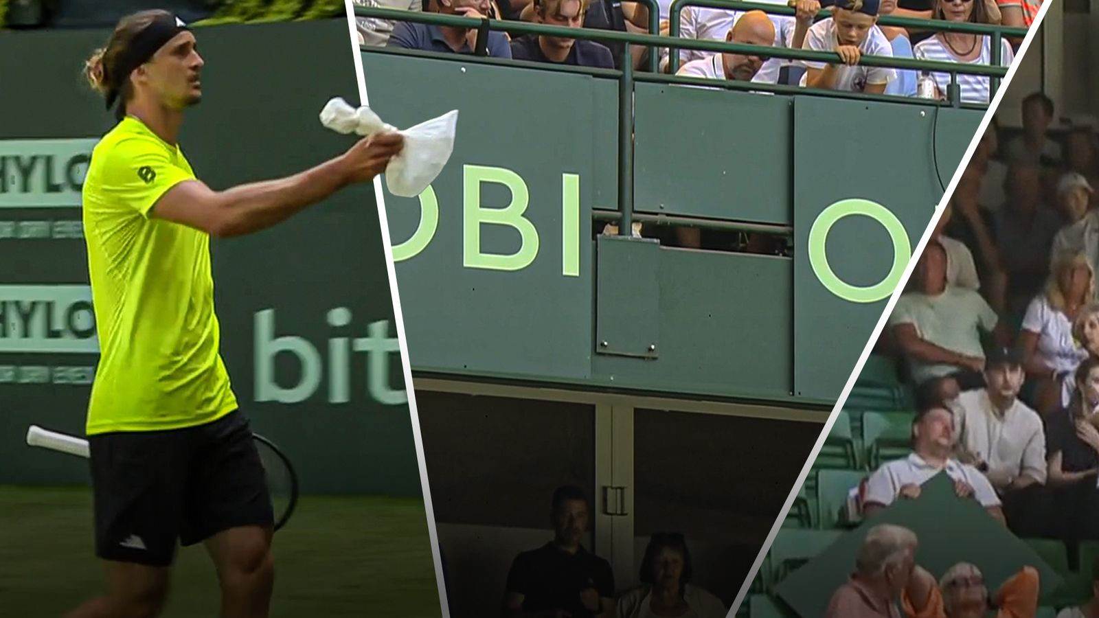 Spectator treated after advertising board falls from stadium during Alexander Zverev match in Halle | Tennis News