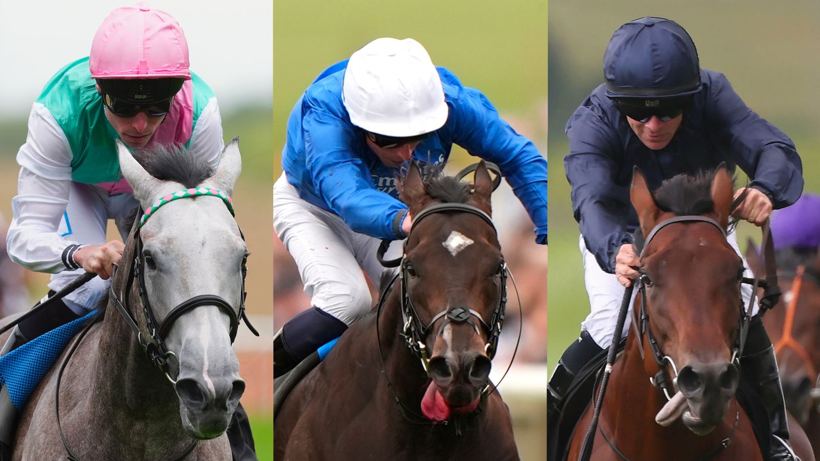 Today at Royal Ascot: Field Of Gold, Ruling Court and Henri Matisse clash in blockbuster St James’s Palace Stakes | Racing News
