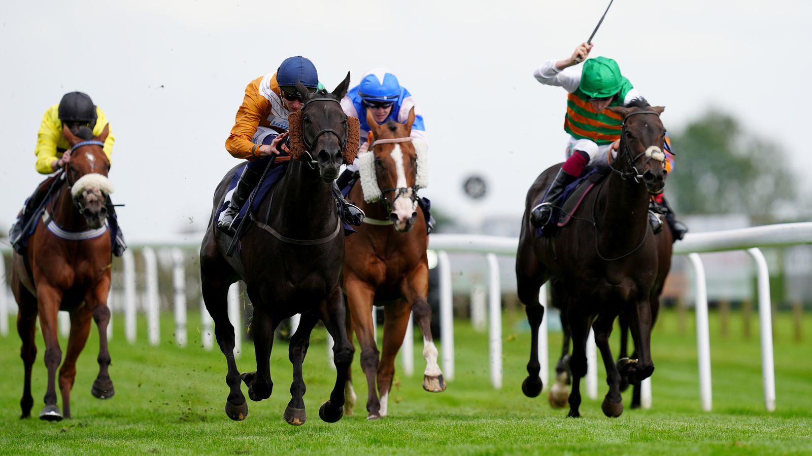 Today on Sky Sports Racing: Bath, Worcester and Happy Valley live on Wednesday | Racing News