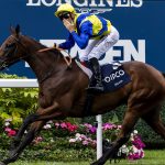 King George winner Goliath