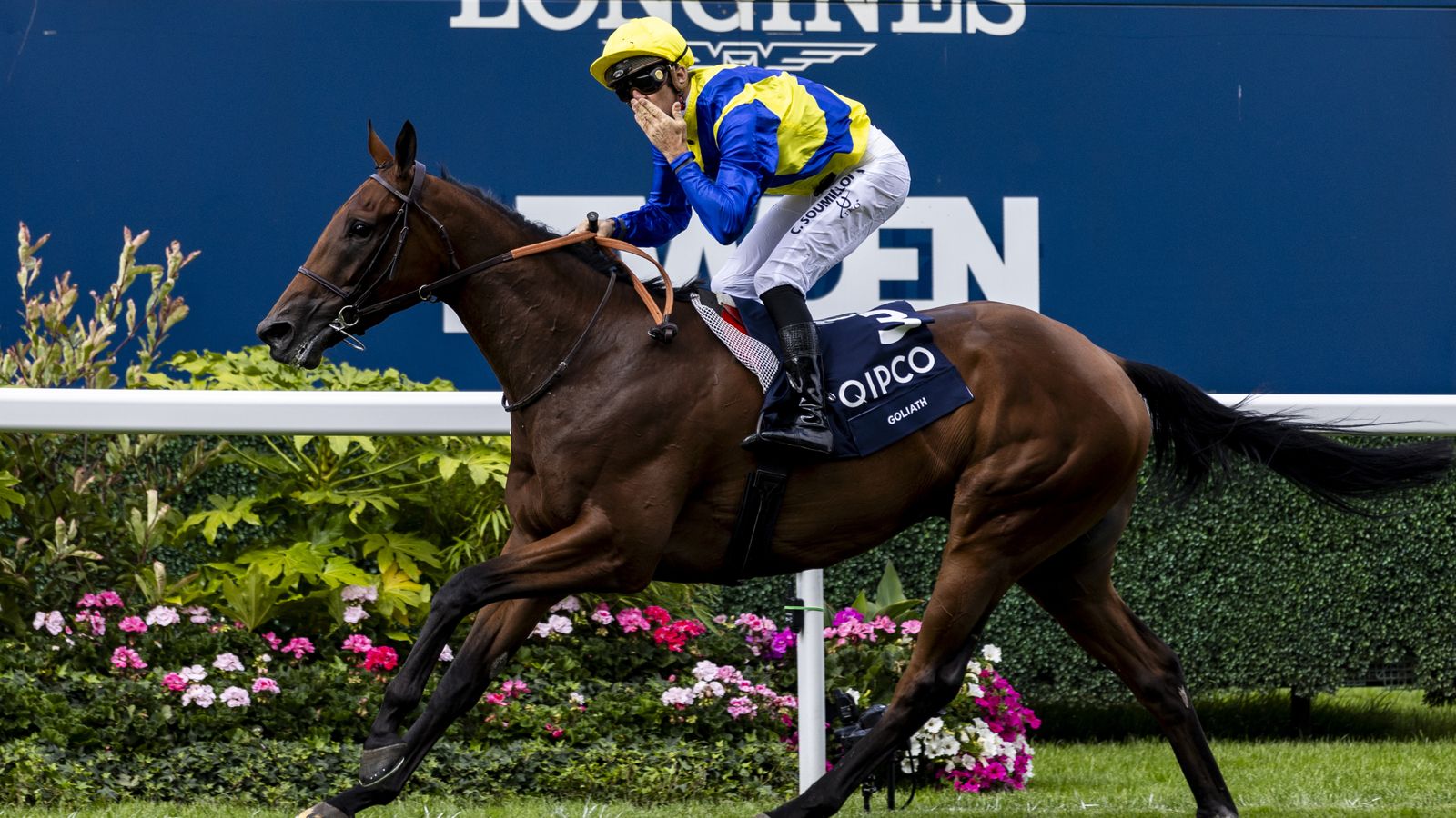 Today on Sky Sports Racing: King George hero Goliath faces Iresine in Group Three La Coupe at ParisLongchamp | Racing News