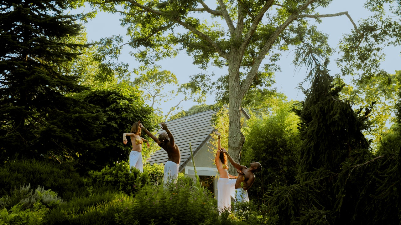 Visiting the Hamptons This Summer? Take a Moment for the Trees
