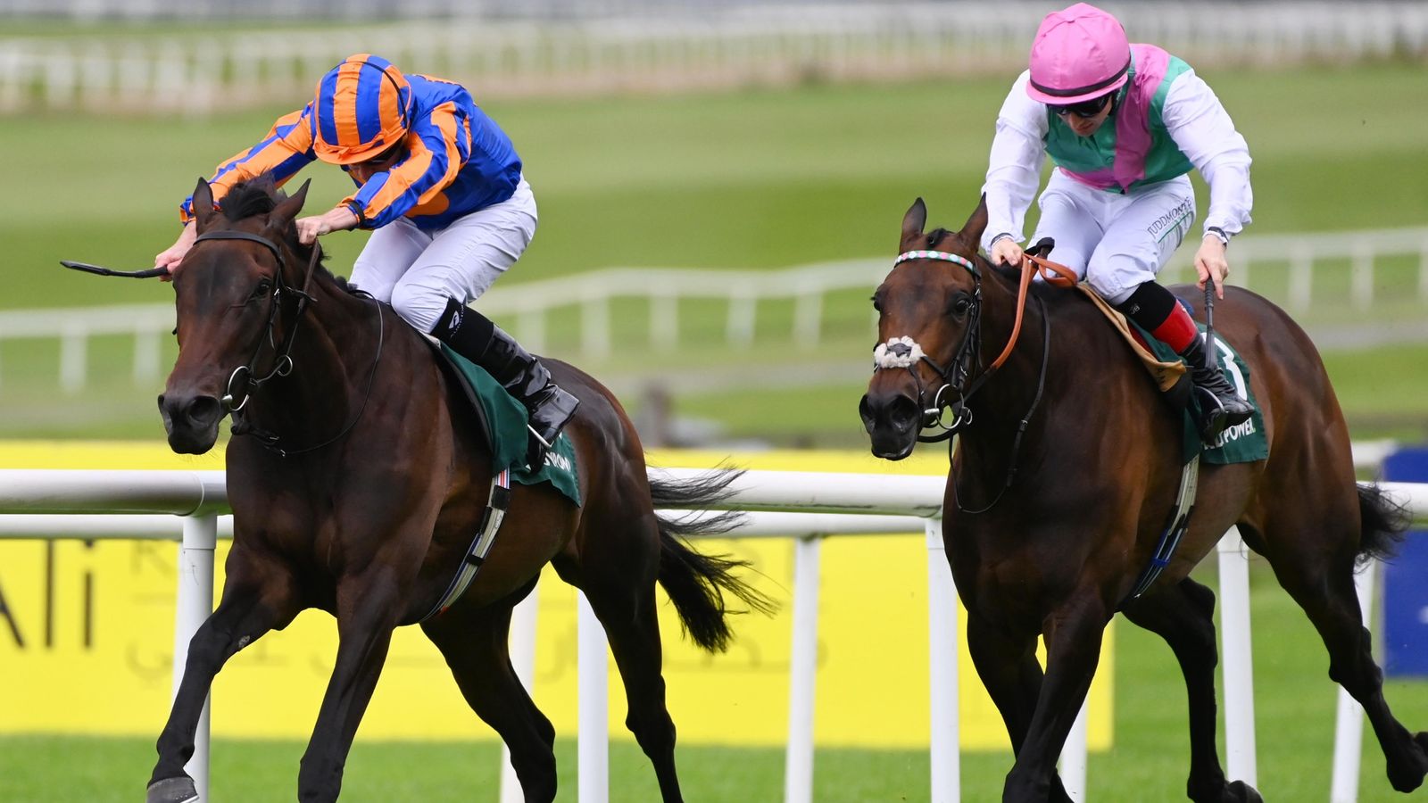 Whirl outbattles Kalpana in pulsating Pretty Polly Stakes at the Curragh | Racing News