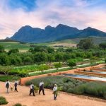 Agritourism and Regenerative Farming Are the Latest Wellness Travel Trends
