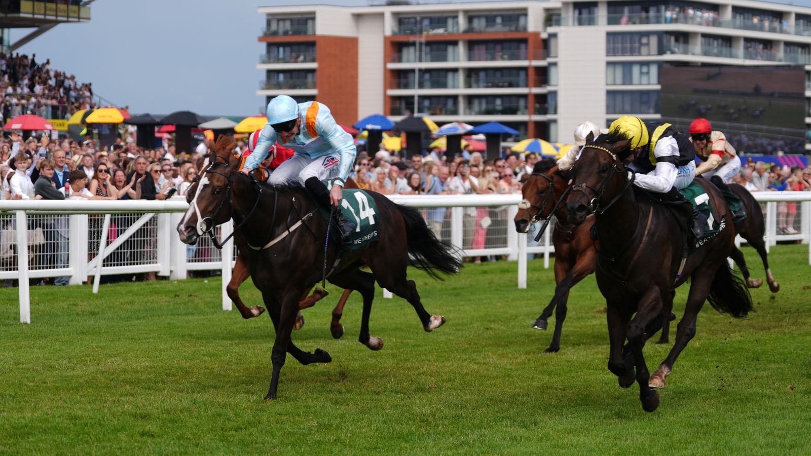 Anthelia comes out on top in Super Sprint thriller at Newbury ahead of favourite Havana Hurricane | Racing News