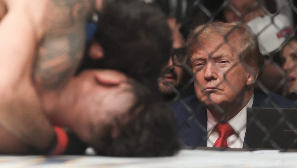 Donald Trump Plans UFC Fight On White House Grounds