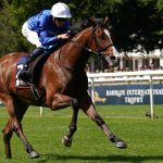 El Cordobes ran out the winner of the Princess Of Wales's Stakes