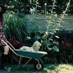 The Simple Pleasures of a Stoop Vegetable Garden