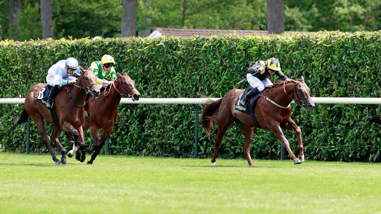 Today on Sky Sports Racing: Green Sense and Tadej face-off in Prix Robert Papin | Racing News