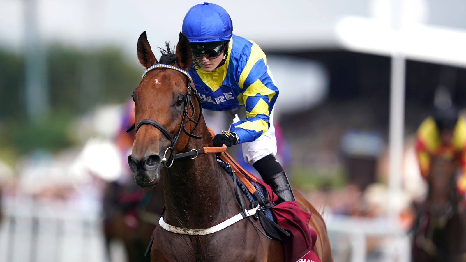 Trueshan death: Hollie Doyle pays emotional tribute to ‘special’ horse following fatal injury at Goodwood | Racing News