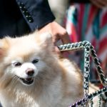 Best street style moments from recent Paris couture weeks.