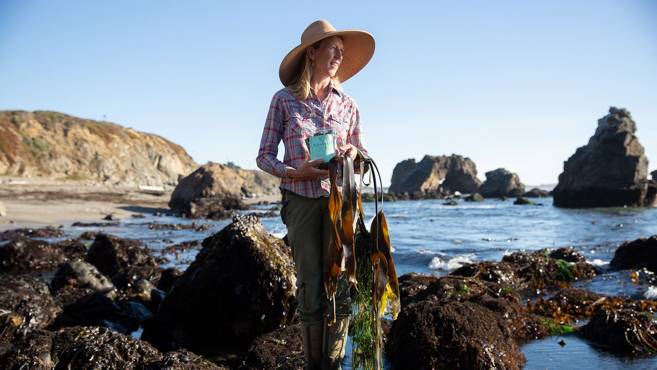 Why Coastal Gins Are Making Waves Right Now