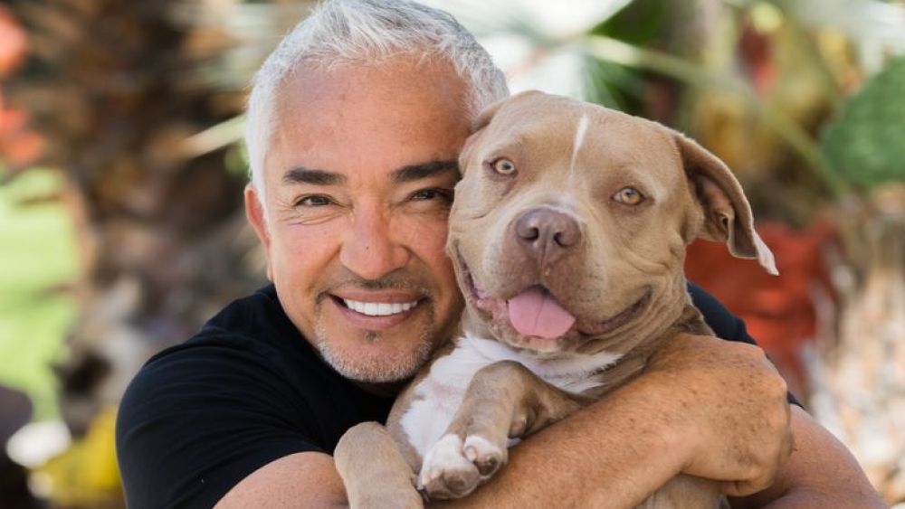 Xcel Brands, Cesar Millan Debut ‘Trust. Respect. Love’ Pet Line