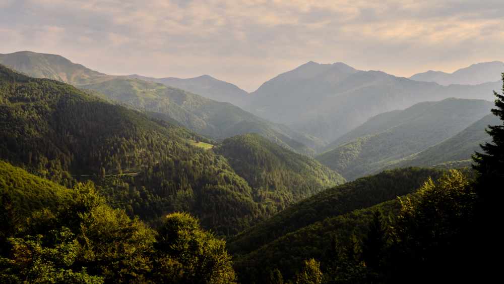 Zegna to Bring Oasi Zegna Conservation Initiative to Aspen