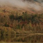 7 Best Places to Travel in Fall, from Upstate Cabins to French Vineyards