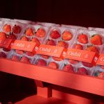 Oishii's bestselling Koyo berries, which retail for $9.99 per pack.