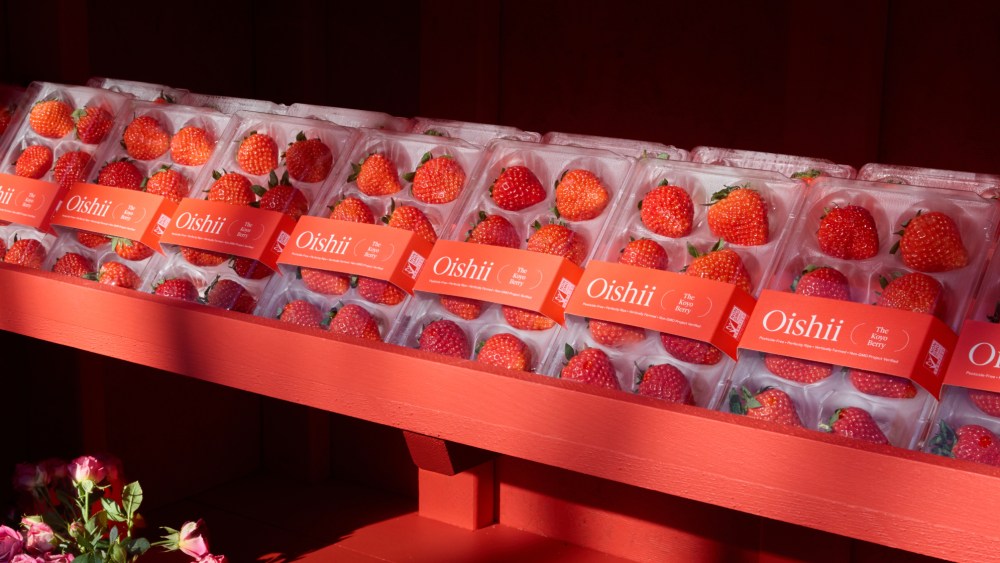 Are Oishii Strawberries Beauty’s Next Erewhon Smoothie?
