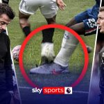 Fulham disallowed goal
