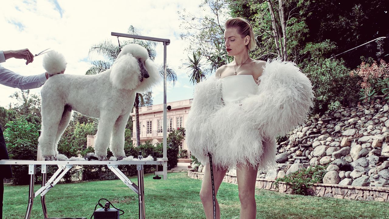 Girl With the Dogs Is the Miracle Worker of Grooming