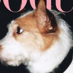 How Rosé’s Dog Hank Went From Rescue Pup to Instagram’s Most Followed Dog