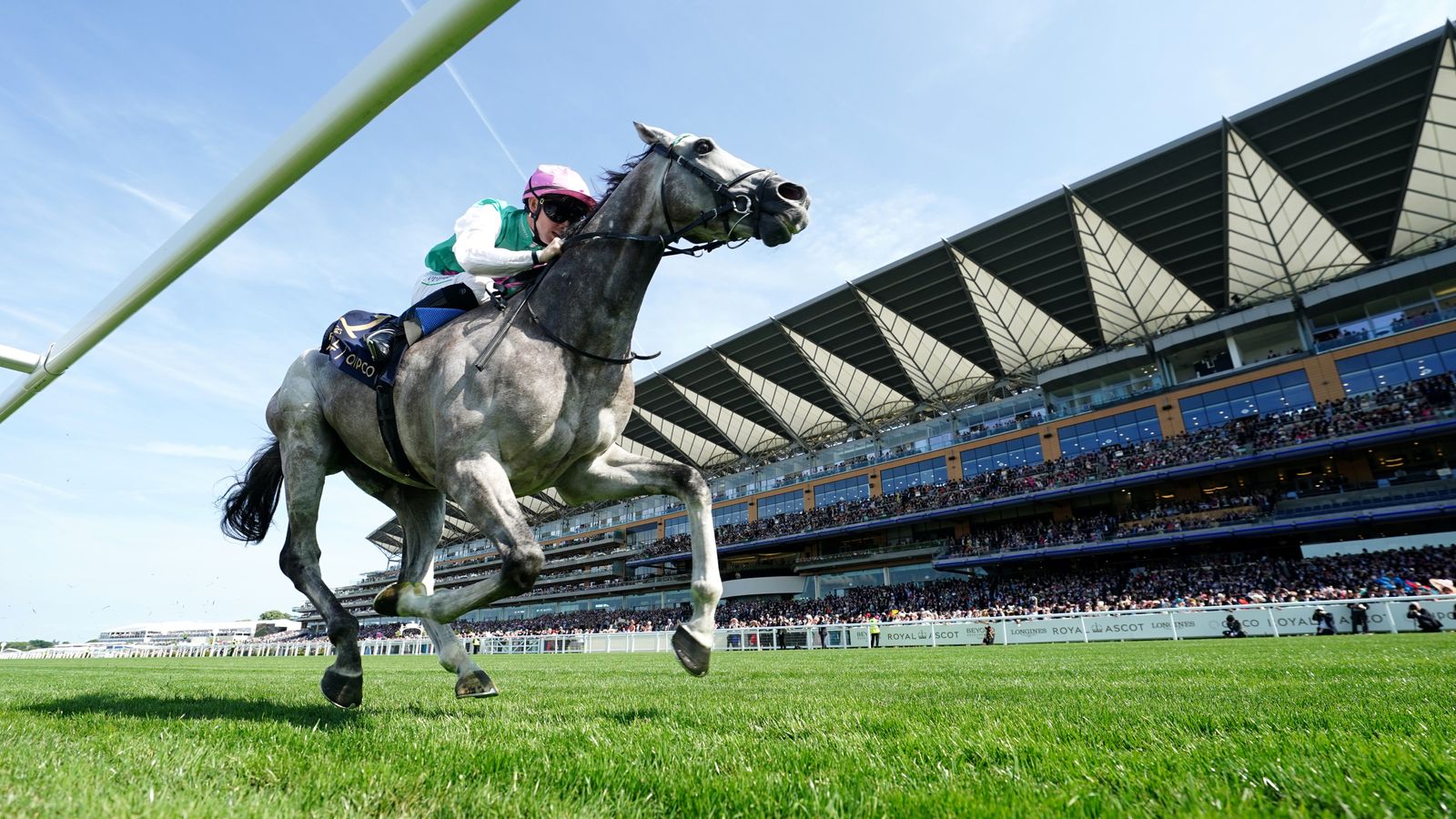 Juddmonte International: Gosdens’ Field Of Gold to miss York assignment after Goodwood defeat | Racing News